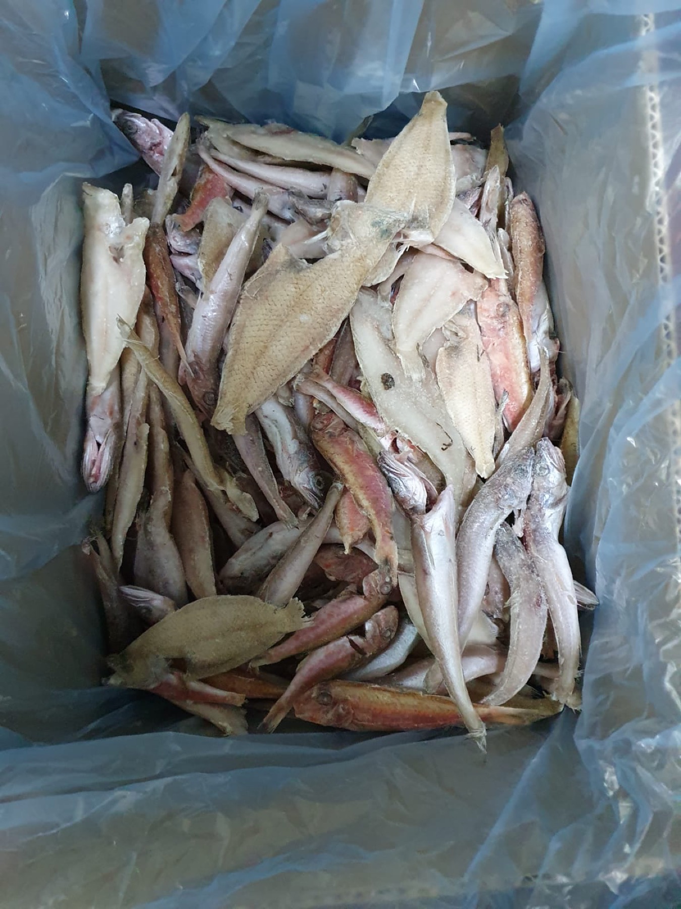 Frittura mista IQF frozen mixed seafood in bulk packing