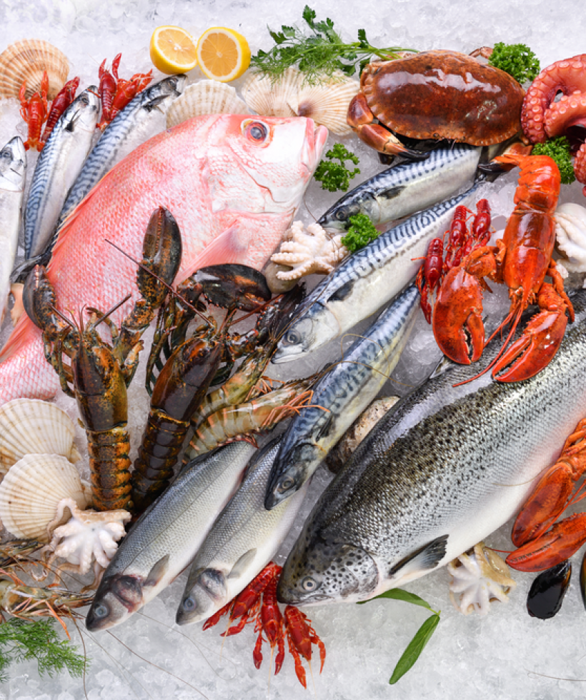 About-Us – Fishco